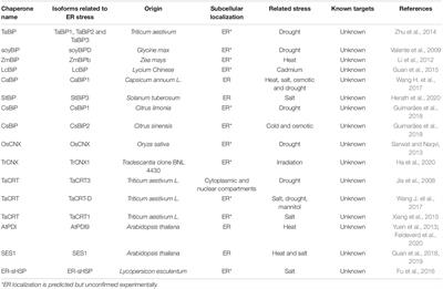 The Endoplasmic Reticulum Role in the Plant Response to Abiotic Stress